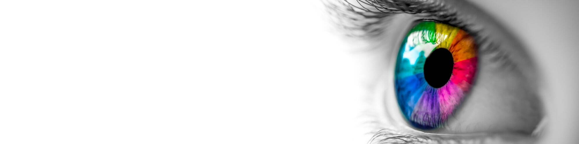 Focus on recruitment or your job search with Merritt Recruitment Blog articles
