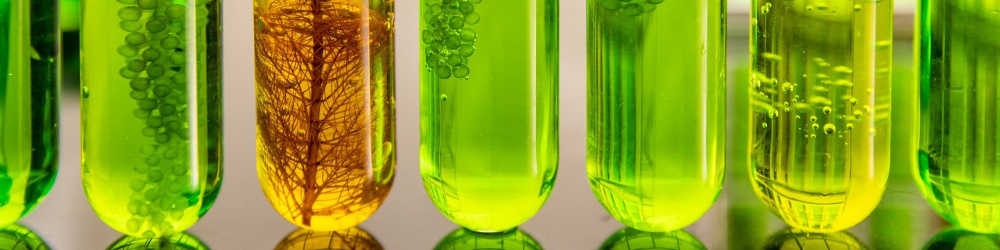 Banner Default Image