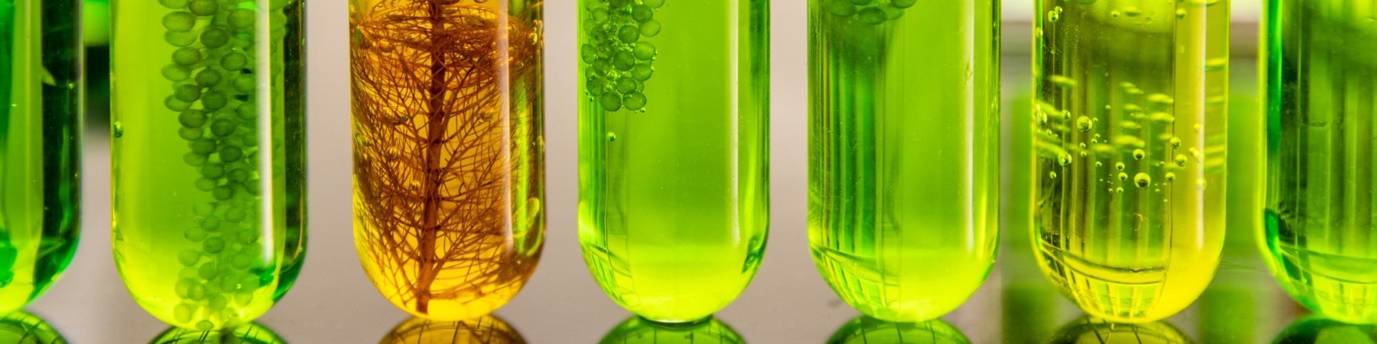 Banner Default Image