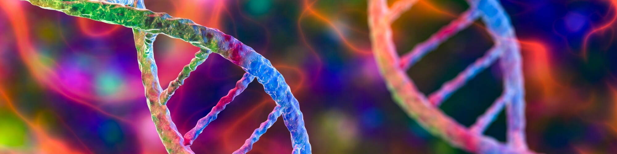 Banner Default Image